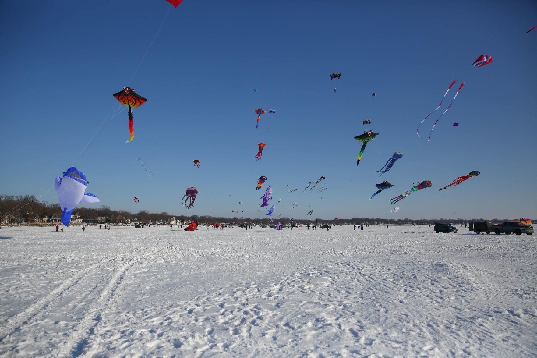 Color the Wind kite festival 02-15-2020 (76).jpg
